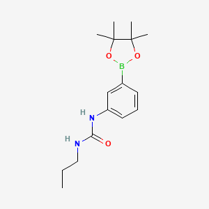 molecular formula C16H25BN2O3 B3161907 1-Propyl-3-[3-(4,4,5,5-tetramethyl-1,3,2-dioxaborolan-2-yl)phenyl]urea CAS No. 874299-05-5