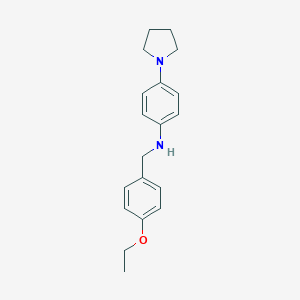 molecular formula C19H24N2O B316269 (4-Ethoxybenzyl)-(4-pyrrolidinophenyl)amine 