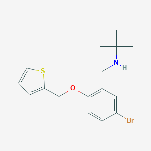 N-[5-bromo-2-(thien-2-ylmethoxy)benzyl]-N-(tert-butyl)amine