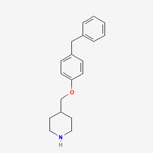 molecular formula C19H23NO B3163058 4-[(4-Benzylphenoxy)methyl]piperidine CAS No. 883510-80-3