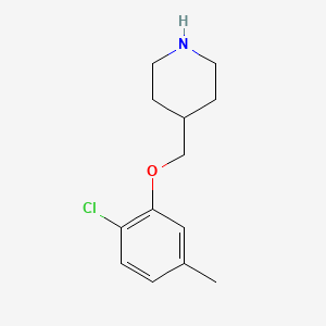 molecular formula C13H18ClNO B3163099 2-Chloro-5-methylphenyl 4-piperidinylmethyl ether CAS No. 883517-49-5