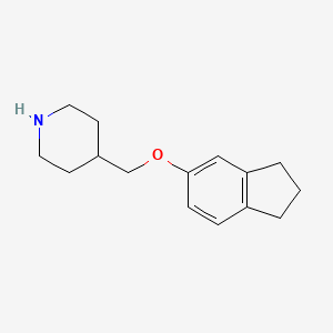 molecular formula C15H21NO B3163113 4-[(2,3-Dihydro-1H-inden-5-yloxy)methyl]piperidine CAS No. 883522-37-0