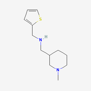 molecular formula C12H20N2S B3163171 [(1-Methylpiperidin-3-yl)methyl]-(2-thienyl-methyl)amine CAS No. 883531-70-2