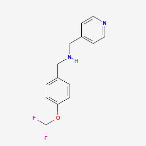 molecular formula C14H14F2N2O B3163190 4-(二氟甲氧基)苄基]-(吡啶-4-基甲基)胺 CAS No. 883535-29-3