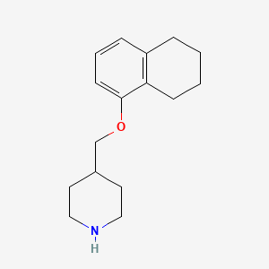 molecular formula C16H23NO B3163242 4-[(5,6,7,8-Tetrahydro-1-naphthalenyloxy)methyl]piperidine CAS No. 883539-08-0