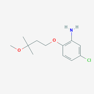 molecular formula C12H18ClNO2 B3163400 5-Chloro-2-(3-methoxy-3-methyl-butoxy)-phenylamine CAS No. 883547-29-3