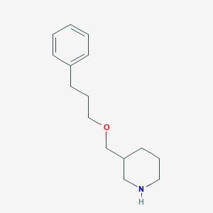 molecular formula C15H23NO B3163404 3-[(3-Phenylpropoxy)methyl]piperidine CAS No. 883548-34-3