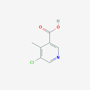 molecular formula C7H6ClNO2 B3164247 5-Chloro-4-methylnicotinic acid CAS No. 890092-41-8