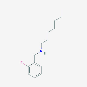 molecular formula C14H22FN B3164588 N-(2-Fluorobenzyl)-1-heptanamine CAS No. 893589-16-7