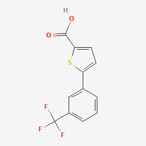 molecular formula C12H7F3O2S B3164752 5-[3-(Trifluoromethyl)phenyl]thiophene-2-carboxylic acid CAS No. 893733-18-1