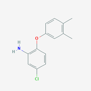molecular formula C14H14ClNO B3164881 5-氯-2-(3,4-二甲基苯氧基)苯胺 CAS No. 893750-99-7