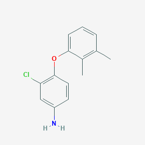 molecular formula C14H14ClNO B3164928 3-Chloro-4-(2,3-dimethylphenoxy)aniline CAS No. 893754-18-2