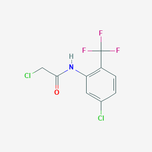 molecular formula C9H6Cl2F3NO B3164946 2-chloro-N-[5-chloro-2-(trifluoromethyl)phenyl]acetamide CAS No. 893756-56-4