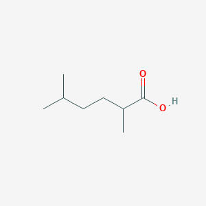 molecular formula C8H16O2 B3165638 2,5-二甲基己酸 CAS No. 90201-13-1
