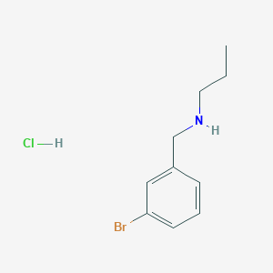 molecular formula C10H15BrClN B3165838 N-(3-溴苄基)-1-丙胺盐酸盐 CAS No. 90389-54-1
