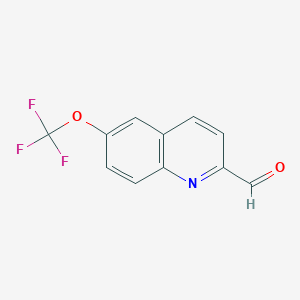 molecular formula C11H6F3NO2 B3165882 2-Quinolinecarboxaldehyde, 6-(trifluoromethoxy)- CAS No. 904369-14-8