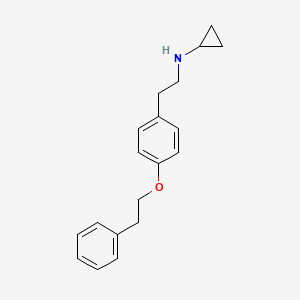 molecular formula C19H23NO B3166468 Cyclopropyl-[2-(4-phenethyloxy-phenyl)-ethyl]-amine CAS No. 911625-98-4