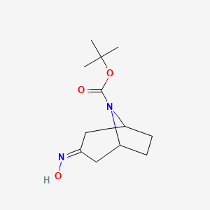 molecular formula C12H20N2O3 B3166737 Tert-butyl 3-(hydroxyimino)-8-azabicyclo[3.2.1]octane-8-carboxylate CAS No. 913575-12-9