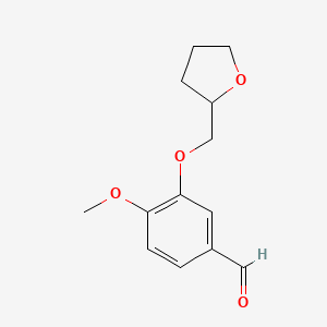 molecular formula C13H16O4 B3167331 4-Methoxy-3-(tetrahydro-furan-2-ylmethoxy)-benzaldehyde CAS No. 919017-05-3