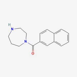 molecular formula C16H18N2O B3167972 1-(Naphthalene-2-carbonyl)-1,4-diazepane CAS No. 926221-77-4