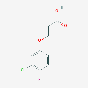 molecular formula C9H8ClFO3 B3167995 3-(3-氯-4-氟苯氧基)丙酸 CAS No. 926224-45-5