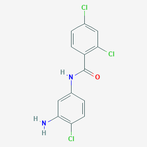 molecular formula C13H9Cl3N2O B3168097 N-(3-氨基-4-氯苯基)-2,4-二氯苯甲酰胺 CAS No. 926242-00-4