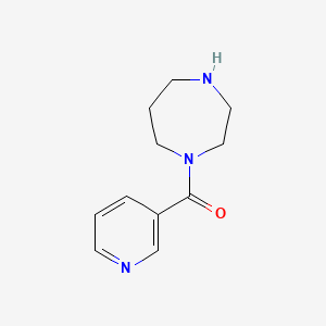 molecular formula C11H15N3O B3168204 1-(Pyridine-3-carbonyl)-1,4-diazepane CAS No. 926270-61-3