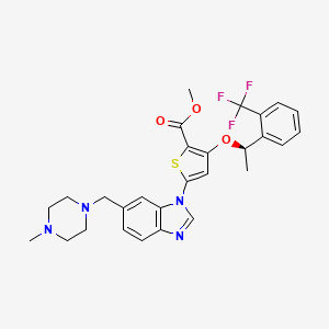 molecular formula C28H29F3N4O3S B3168431 (R)-methyl 5-(6-((4-methylpiperazin-1-yl)methyl)-1H-benzo[d]imidazol-1-yl)-3-(1-(2-(trifluoromethyl)phenyl)ethoxy)thiophene-2-carboxylate CAS No. 929095-51-2