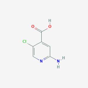 molecular formula C6H5ClN2O2 B3168443 2-Amino-5-chloroisonicotinic acid CAS No. 929302-26-1