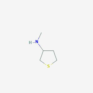 molecular formula C5H11NS B3168981 N-methylthiolan-3-amine CAS No. 933727-56-1