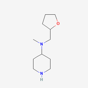 molecular formula C11H22N2O B3169029 N-methyl-N-(tetrahydrofuran-2-ylmethyl)piperidin-4-amine CAS No. 933760-18-0