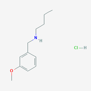 molecular formula C12H20ClNO B3169175 N-(3-甲氧基苄基)-1-丁胺盐酸盐 CAS No. 935250-88-7
