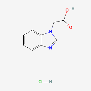 molecular formula C9H9ClN2O2 B3169254 苯并咪唑-1-基乙酸盐酸盐 CAS No. 936348-97-9