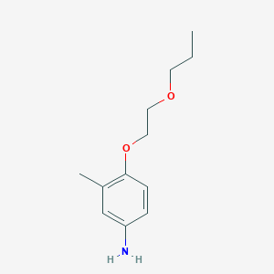 molecular formula C12H19NO2 B3171126 3-Methyl-4-(2-propoxyethoxy)aniline CAS No. 946663-49-6