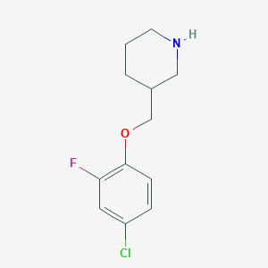 molecular formula C12H15ClFNO B3171327 4-Chloro-2-fluorophenyl 3-piperidinylmethyl ether CAS No. 946680-45-1