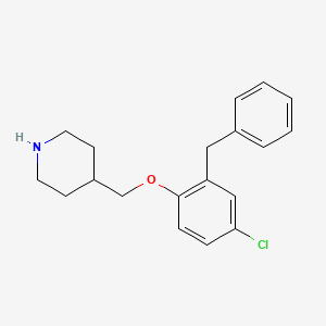 molecular formula C19H22ClNO B3171346 2-Benzyl-4-chlorophenyl 4-piperidinylmethyl ether CAS No. 946680-84-8