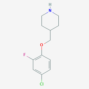molecular formula C12H15ClFNO B3171354 4-Chloro-2-fluorophenyl 4-piperidinylmethyl ether CAS No. 946680-87-1