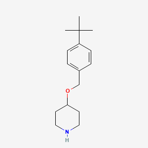 molecular formula C16H25NO B3171355 4-{[4-(tert-Butyl)benzyl]oxy}piperidine CAS No. 946681-43-2
