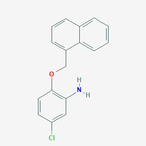 molecular formula C17H14ClNO B3171443 5-Chloro-2-(1-naphthylmethoxy)aniline CAS No. 946682-48-0
