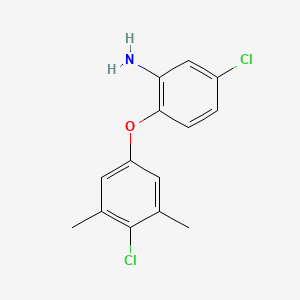molecular formula C14H13Cl2NO B3171463 5-Chloro-2-(4-chloro-3,5-dimethylphenoxy)aniline CAS No. 946682-58-2