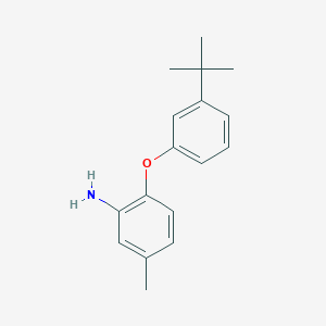 molecular formula C17H21NO B3171535 2-[3-(Tert-butyl)phenoxy]-5-methylphenylamine CAS No. 946683-02-9