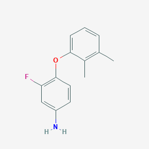 molecular formula C14H14FNO B3171842 4-(2,3-Dimethylphenoxy)-3-fluoroaniline CAS No. 946699-07-6
