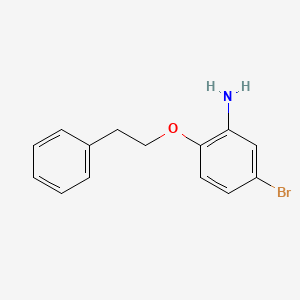 molecular formula C14H14BrNO B3171900 5-Bromo-2-(phenethyloxy)aniline CAS No. 946699-90-7