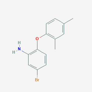 molecular formula C14H14BrNO B3171909 5-Bromo-2-(2,4-dimethylphenoxy)aniline CAS No. 946700-10-3