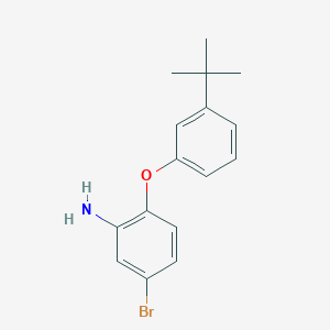 molecular formula C16H18BrNO B3171919 5-Bromo-2-[3-(tert-butyl)phenoxy]aniline CAS No. 946700-22-7