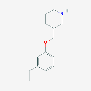 molecular formula C14H21NO B3171931 3-[(3-Ethylphenoxy)methyl]piperidine CAS No. 946713-30-0