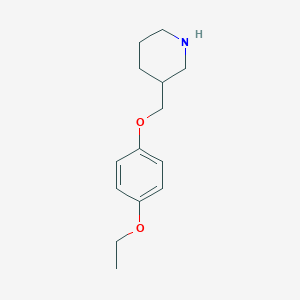 molecular formula C14H21NO2 B3171938 3-[(4-Ethoxyphenoxy)methyl]piperidine CAS No. 946713-34-4