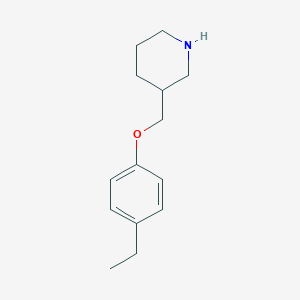 molecular formula C14H21NO B3171940 3-[(4-Ethylphenoxy)methyl]piperidine CAS No. 946713-40-2