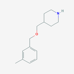 molecular formula C14H21NO B3171949 4-{[(3-Methylbenzyl)oxy]methyl}piperidine CAS No. 946713-64-0