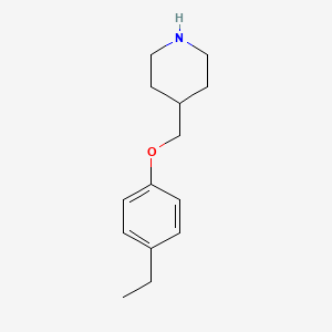 molecular formula C14H21NO B3171968 4-[(4-Ethylphenoxy)methyl]piperidine CAS No. 946713-85-5